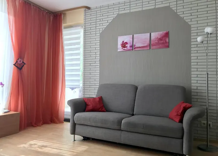 Comfort Close To Exhibition *